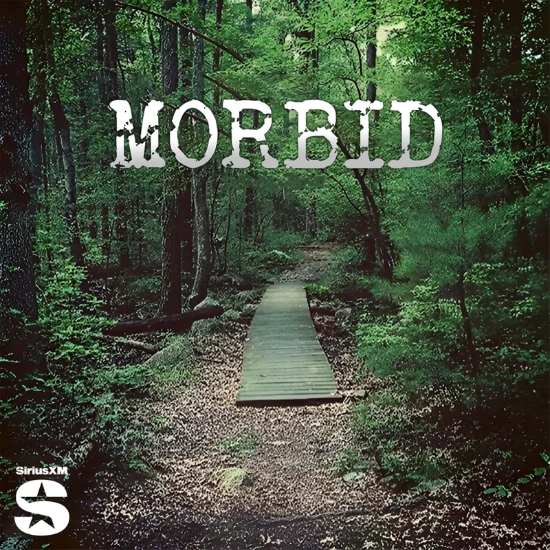 Morbid：绿河杀手（第三部分）：迷雾中的追踪与受害者身份的艰难确认