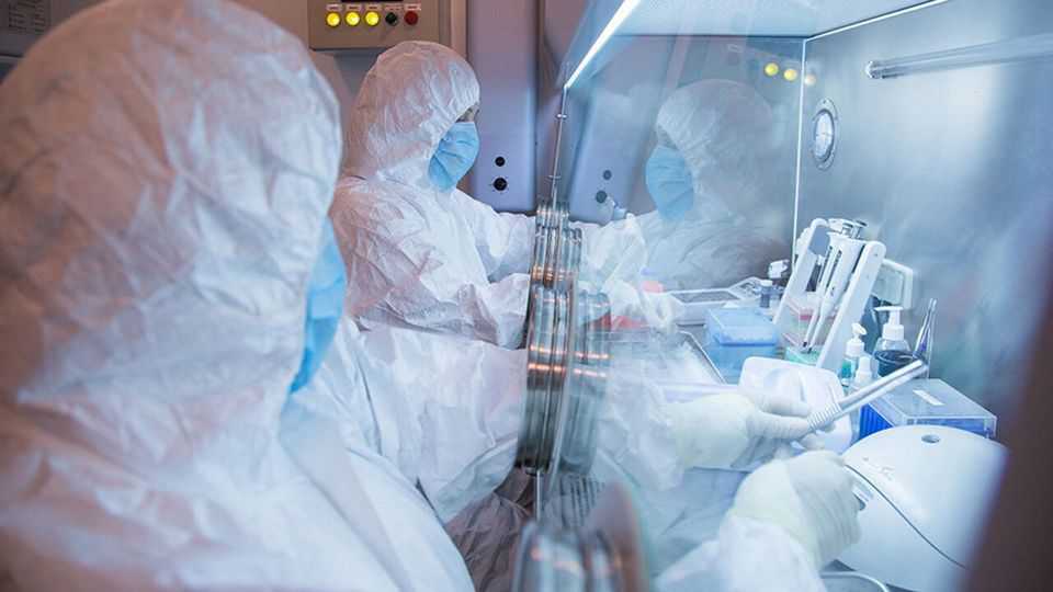 西伯利亚实验室疑现鼠疫泄漏传闻
